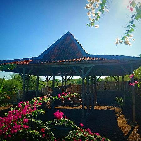 Umah Kayu 2-Menjangan Homestay Banyuwedang Ngoại thất bức ảnh