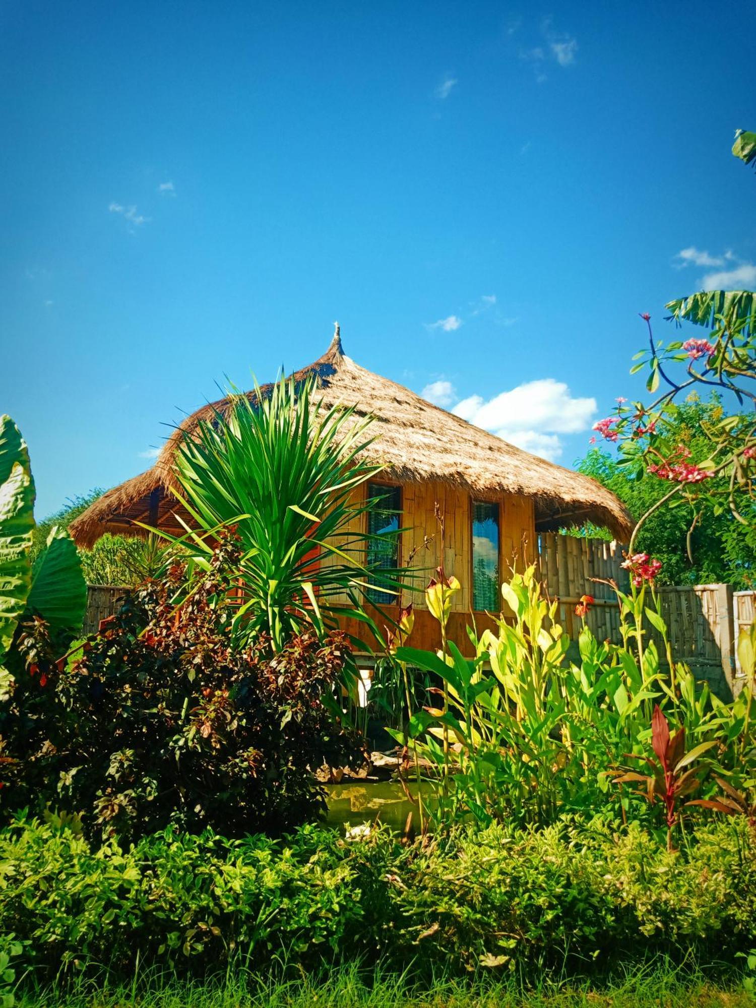 Umah Kayu 2-Menjangan Homestay Banyuwedang Ngoại thất bức ảnh