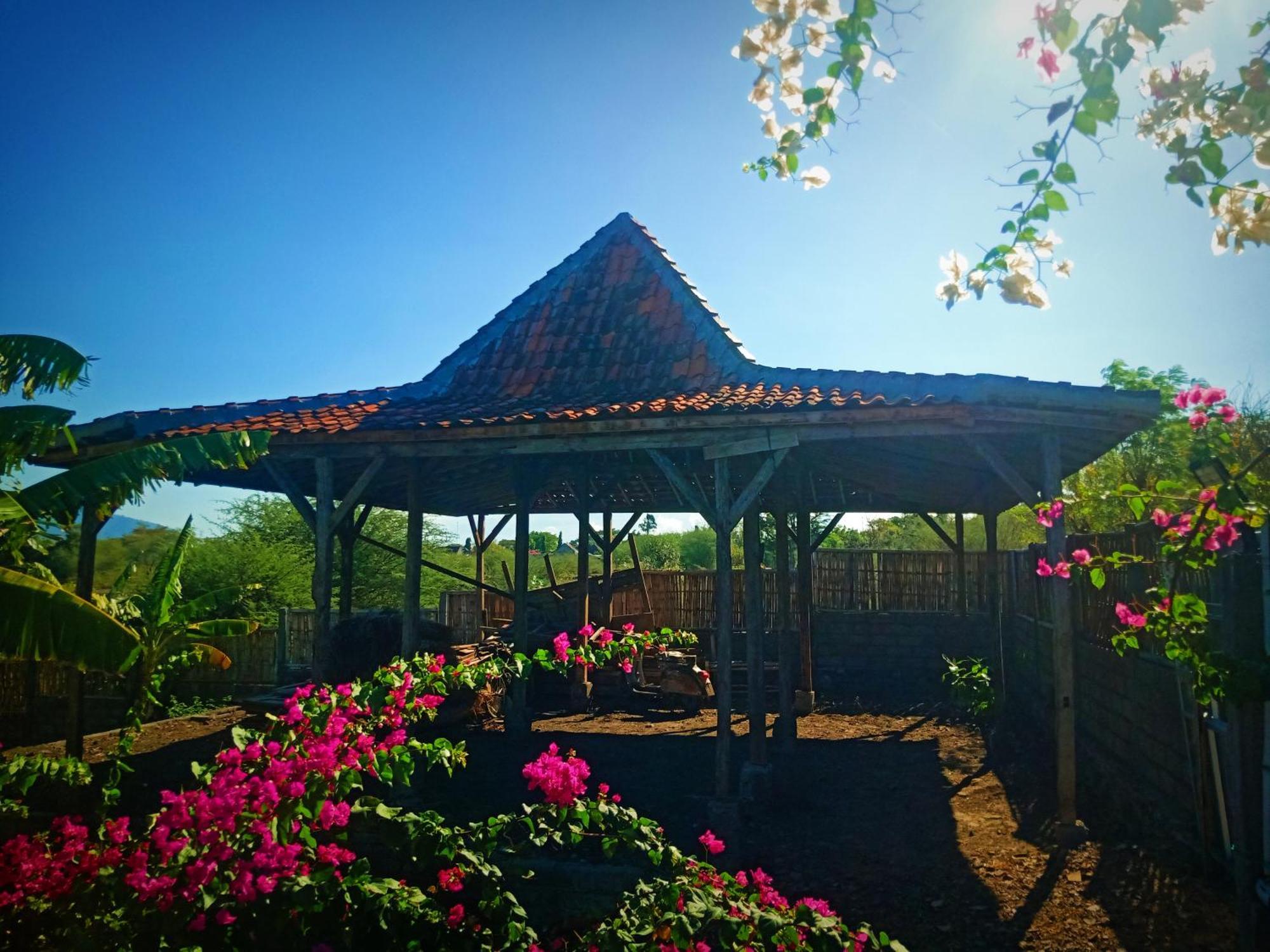 Umah Kayu 2-Menjangan Homestay Banyuwedang Ngoại thất bức ảnh