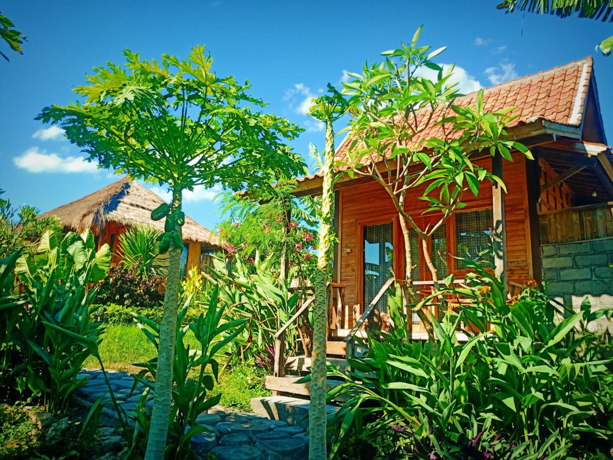 Umah Kayu 2-Menjangan Homestay Banyuwedang Ngoại thất bức ảnh